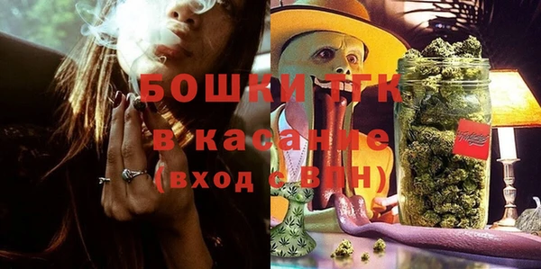 стафф Киреевск