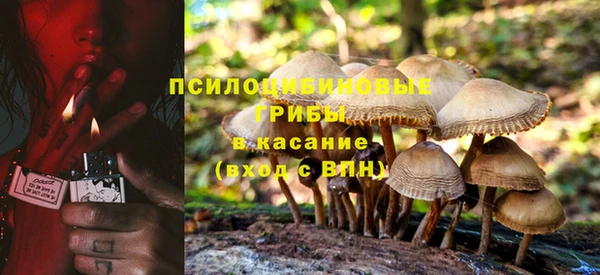 стафф Киреевск