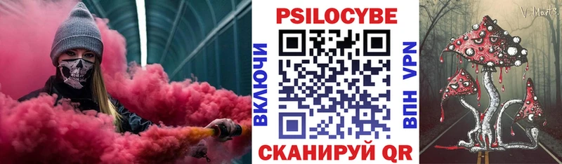 Купить закладки  Воркута  Псилоцибиновые грибы Cubensis 